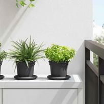 Augalų vazonai 24 pcs Juoda Ø 125 x 10 cm Plastmasė