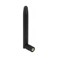 Kryptinė antena DeLOCK 12542