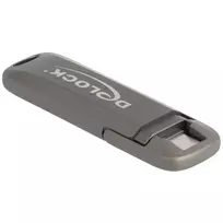 USB atmintukas DeLOCK 54012 256GB USB Type-C pilka