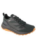 JACK WOLFSKIN Laisvalaikio batai, Terraventure Texapore Low M 4051621-4161