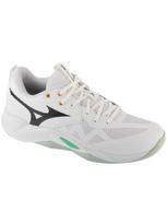 MIZUNO Laisvalaikio batai, Wave Momentum Pro V1GA254021