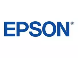 Epson 250XL šviesiai purpurinis originalus rašalo kasetė (T250XL420-S) didelės išeigos