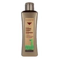 Atstatantis šampūnas Biokera Arganology Salerm Argano aliejus (300 ml)