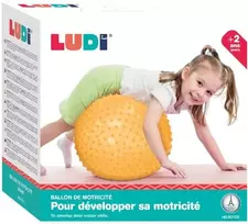 LUDI mankštos kamuolys, 45 cm