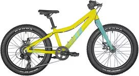 Dviratis 20 BERGAMONT BERGAMONSTER 20 PLUS Geltonas 20 yellow bergamont