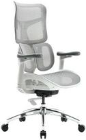 Spacetronik Fotel biurowy sukamasis Springle 22 Pilka SPC-SPRIN