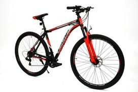 MTB dviratis 29" Camp MD TopVelo XC 4.2 Shimano, rėmas - 20", raudonas
