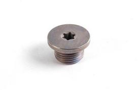 Originalus BMW E39 E46 Z3 kupė Individualus vidinis Torx varžto kištukas OEM 24111423986