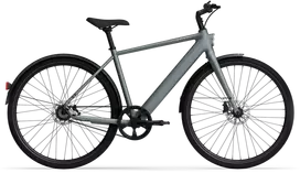 Dviratis 28' elektrinis Tenways CGO600 PRO 250Wh vyr. pilkas matinis