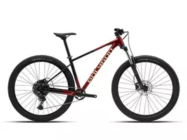 Dviratis 29" POLYGON XTRADA 5 Raudonas/Juodas