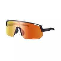 Akiniai Shimano Eyewear TCNL2BR Matte Juodas