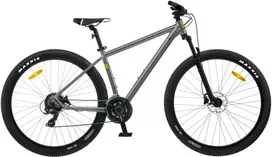 Dviratis 29 CLASSIC PRO 29 29 žalias classic