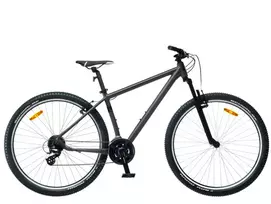 Dviratis 29 CLASSIC TEAM 29+24s 29 classic