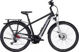 Dviratis 29' elektrinis Pegasus Premio EVO 12 Lite Cross vyr. BOSCH Sistema 400wh 12g pilka/juoda
