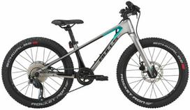 Dviratis 20" Bulls Tokee Ultra Lite sidabrinis karboninis