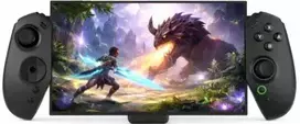 Žaidimų valdiklis DELTACO GAMING Ergonomic Switch 2 GAM-196 / 4222455