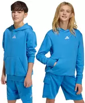 Bluza vaikams adidas Essentials Hoodie mėlyna KD3382 (176cm)