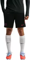 Šortai vyrams Nike Dri-FIT PSG juoda II2611 010 (L)