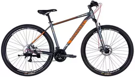 Frame „TopVelo Discovery QUBE DD CS“ miesto dviratis (ratų dydis: 24, rėmo dydis: 11,5) pilkas