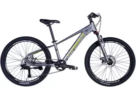 Mountain bike TopVelo Formula ZEPHYR 3.0 DD CS (Wheel size: 29, Frame size: 21) Žalias