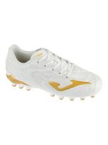 JOMA Futbolo batai, Joma Evolution Jr 2602 AG EVJS2602AG