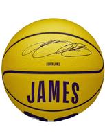 WILSON Unisex krepšinio kamuolys, Wilson NBA Player Icon LeBron James Mini Ball WZ4027701XB