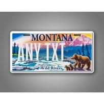 Customizable Metal License Plate 6x12 Inch, Personalized Text Sign for Car & Wall Decor
