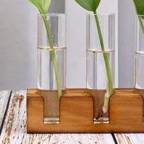 Plant Terrarium Propagation Station Desk Decor, Water Plants Holder, Wooden Base 5 Glass Test Tubes