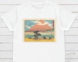 Ukiyo-e Mount Fuji T-Shirt | Hiroshige Woodblock Art 2XL