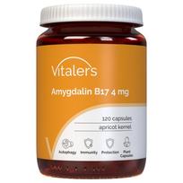 Vitaler's Amigdalinas (vitaminas B17) 4 mg - 120 kapsulių