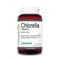 KENAY Chlorella Yaeyama 120 tablečių