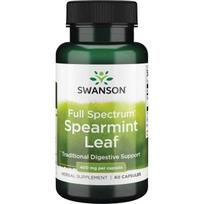 Swanson pilno spektro mėtų lapai 400 mg 60 kapsulių