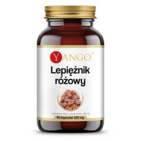 Yango rausvųjų sviestinių lapų ekstraktas 430 mg 90 kapsulių