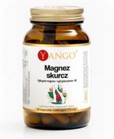 Yango Magnio susitraukimas 90 kaps.