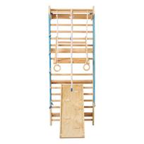 Swedish Ladder Wall Gym, 8-in-1 15 Levels Solid Wood Indoor Jungle Gym, 220LBS Wall Stall Bars Climbing Playset with Wall Ladder, Slide Board, Pull-Up