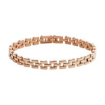 Daniel Wellington Rose gold chain, elegant jewelry-style plain chain, design jewelry, alloy bracelet, women's style DW00400955 auksas
