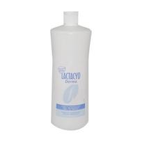 Intimate gel - LACTACYD - DERMA - 1000 ML - Hypoallergenic - For all skin types