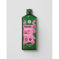 Yves Rocher Aviečių blizgesio šampūnas 300ml