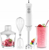 Rankinis trintuvas Bonsenkitchen 1000W, nerūdijančio plieno, 4 viename