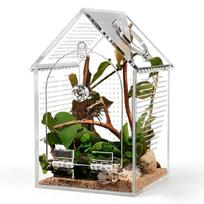 Shatterproof Clear Acrylic Reptiles Terrarium Breeding Box Ventilated Reptiles Cage For Science Experiment And Education 1