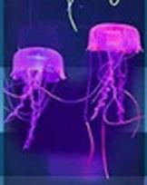 LED vandenyno vaizdo naktinis šviestuvas akvariumo dekoras purple