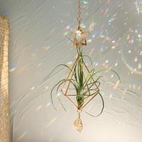 Garden Suncatchers Gold Hanging Air Plant Holder Tillandsia Air Plants Hanger Air Fern Display Planter with Crystal Home Decor beige