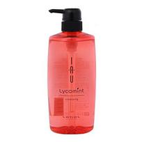 of LebeL IAU Iori Comint Cleansing Oil 600ml [Set 2]