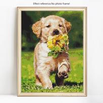 Diamond Mosaic Rhinestone Embroidery Gift Diamond Painting With Square Stones Animals Cross Stitch 20X30
