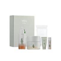 Artemisia raminantis 2 dalių rinkinys (Ampulė 50ml, Kremas 50ml) + Premija: Esencija 30ml, Putų prausiklis 30ml, Vatos diskeliai 29vnt