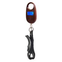 Mini Fish Gripper with 25Kg with Digital Mouth Lip Grabber Electric Scale Weight Scale Fish kava