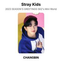 Stray Kids 2023 SEASON'S GREETINGS SKZ's Mini World Official Photocard LEE KNOW 04 gray