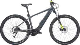 Dviratis 29' elektrinis Bulls LT CX EVO vyr. BOSCH Sistema 625wh 8g pilkas
