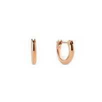 Daniel Wellington Arc Series Light Luxury Simple Daily High-end Classic Versatile Alloy Earrings Women’s Rose Gold DW00401947 auksas