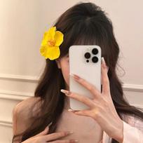 Butterfly Orchid Orchid Flower Hairpin Korean Style Bohemia Barrettes  Wedding Decoration Style7